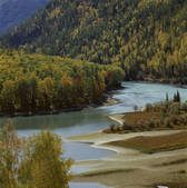 tkf005_2350672