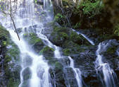 tkf005_2350678