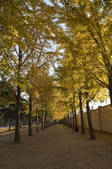 tkf005_2351004