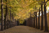 tkf005_2351005