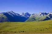 tkf005_2356869