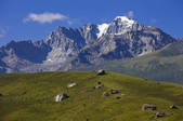 tkf005_2356871