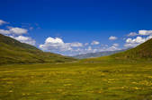 tkf005_2356878
