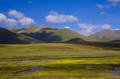 tkf005_2356883