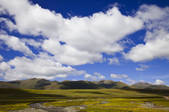 tkf005_2356884