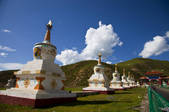 tkf005_2356887