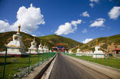 tkf005_2356888