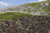 tkf005_2356891