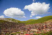 tkf005_2356894