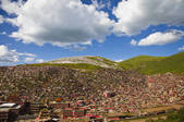 tkf005_2356896