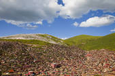 tkf005_2356897