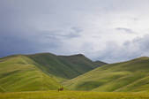 tkf005_2356907