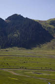 tkf005_2356926