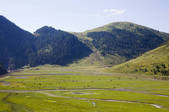 tkf005_2356927