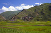 tkf005_2356929