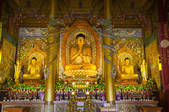 tkf005_2360324