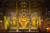 tkf005_2360326