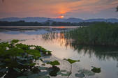 tkf005_2374352