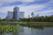 tkf005_2374468
