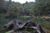 tkf005_2378780