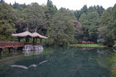 tkf005_2378781