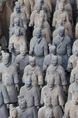tkf005_2380287
