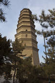 tkf005_2380365