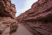 tkf005_2386405