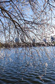 tkf005_2387361