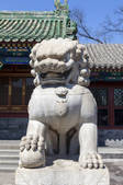 tkf005_2387364