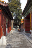 tkf005_2387395
