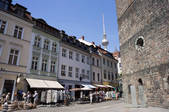 tkf005_2388849