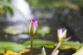 tkf005_243815