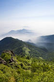 tkf005_246119