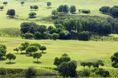 tkf005_246153