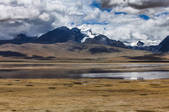 tkf005_246788