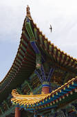 tkf005_295130