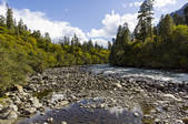 tkf005_295384