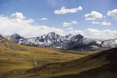 tkf005_295441