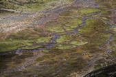 tkf005_295834