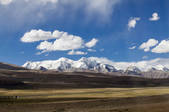 tkf005_295938