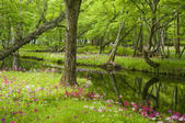 tkf005_301326