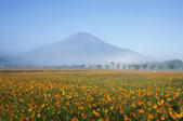 tkf005_301412