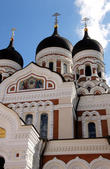 tkf005_301556