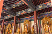tkf005_302202