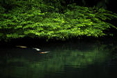 tkf005_302342