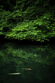 tkf005_302343