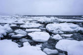 tkf005_302384