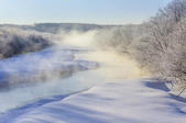 tkf005_302401