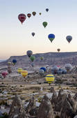 tkf005_302614